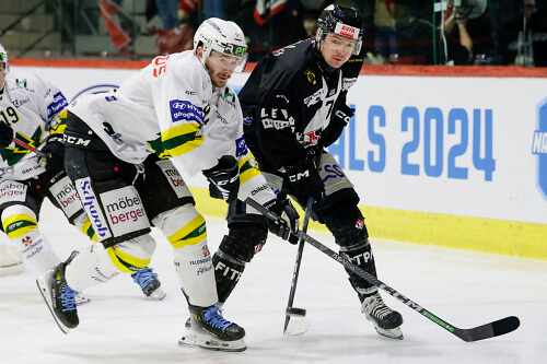 cupfinal 2024 basel olten